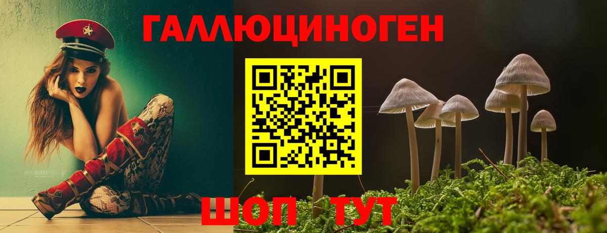 Грязи  Псилоцибиновые грибы Cubensis  Вход с VPN  Галлюциногенные грибы Psilocybine cubensis 